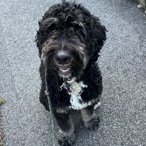 Meet your Posher, Brittney